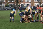 IMG_5288.JPG