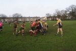IMG_5341.JPG
