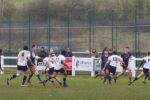 IMG_5445.JPG