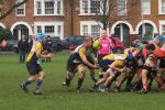 IMG_5308.JPG