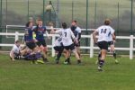 IMG_5401.JPG