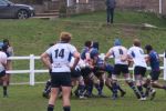 IMG_5425.JPG