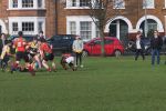 IMG_5267.JPG