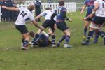 IMG_5412.JPG