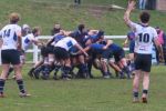 IMG_5426.JPG