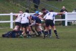 IMG_5423.JPG