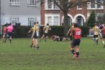 IMG_5333.JPG