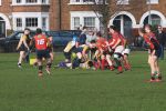 IMG_5269.JPG